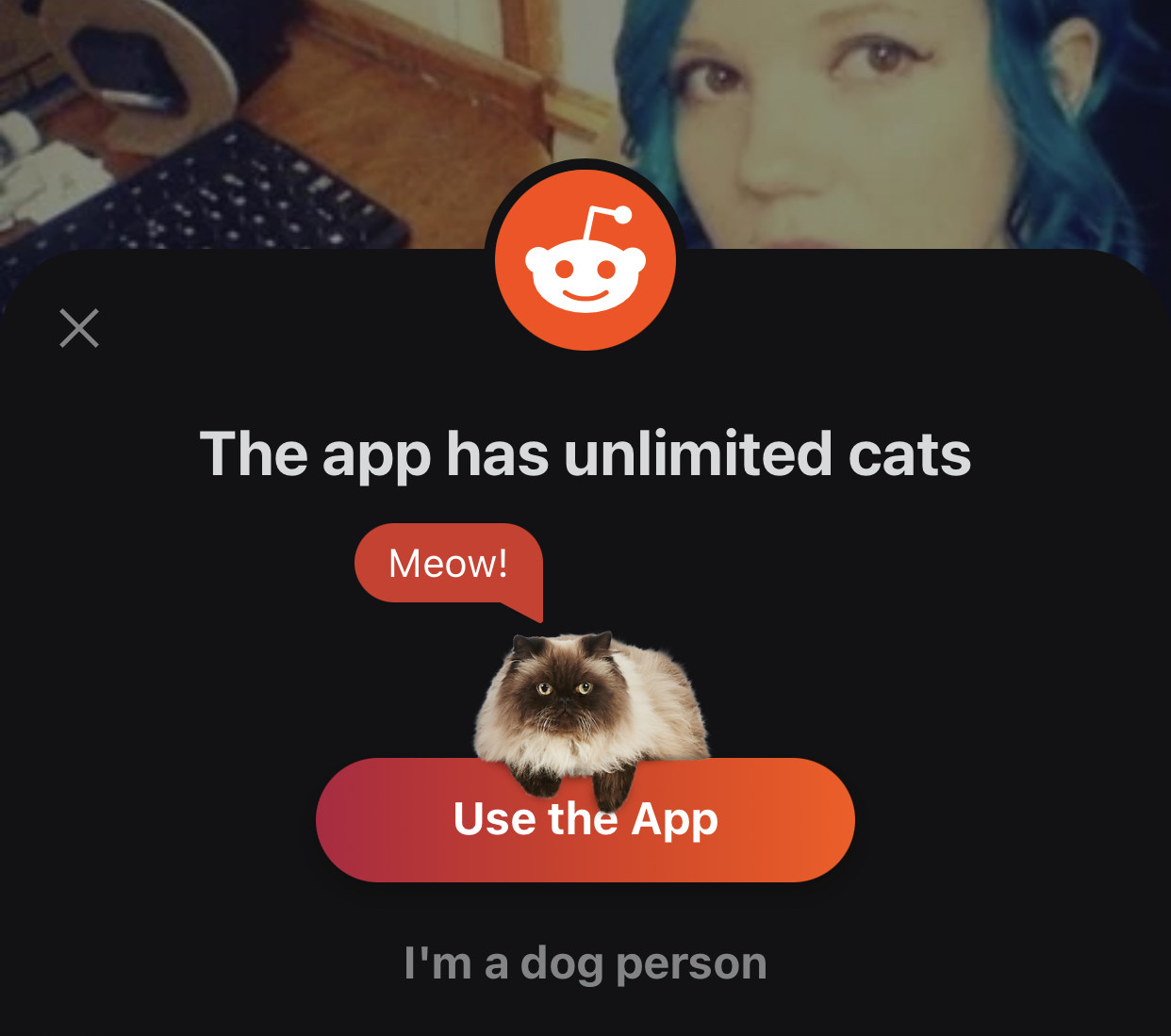 a reddit a pop up confirmation box says “the app has unlimited cats” a cat graphic sits atop a button that says “use the app”, small tiny barely visible text says “i’m a dog person”